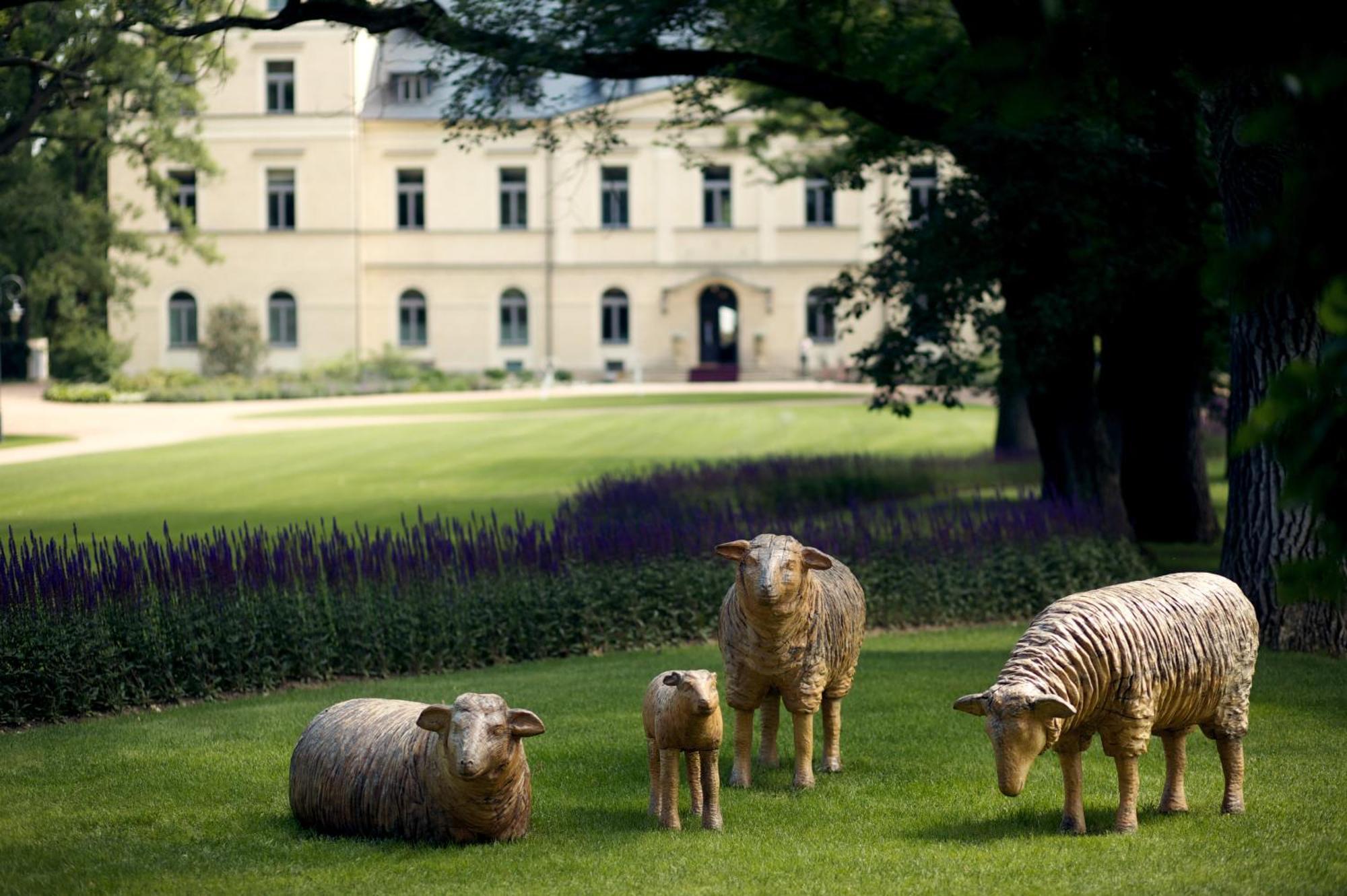 Chateau Mcely Ngoại thất bức ảnh