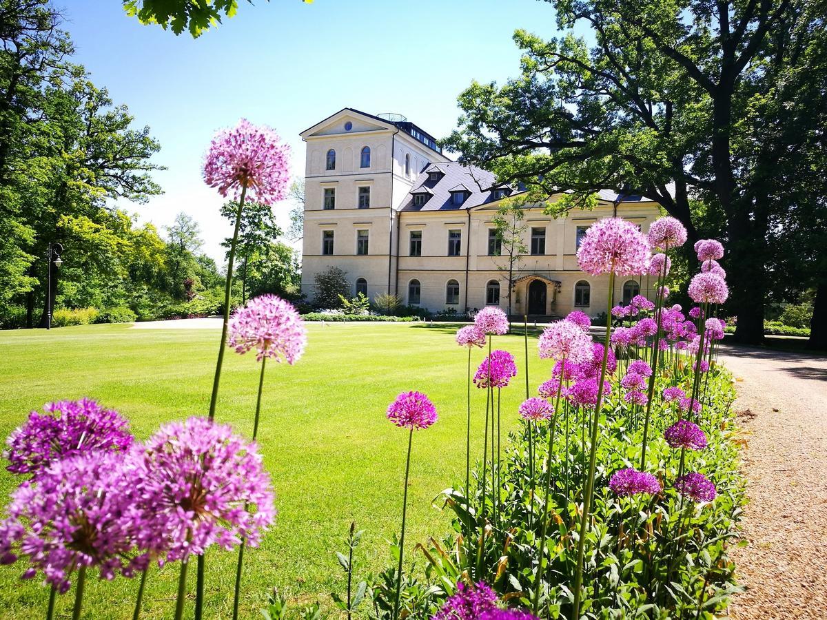 Chateau Mcely Ngoại thất bức ảnh