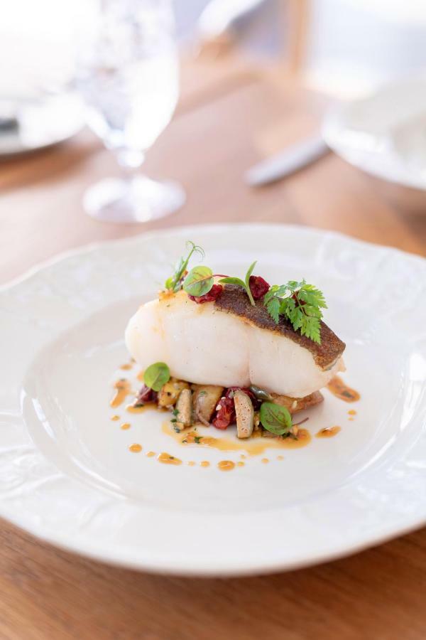 Chateau Mcely Ngoại thất bức ảnh
